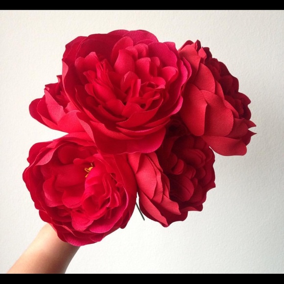 Hello there. ¡Hola! Hāi ! - Picture 5 of 7